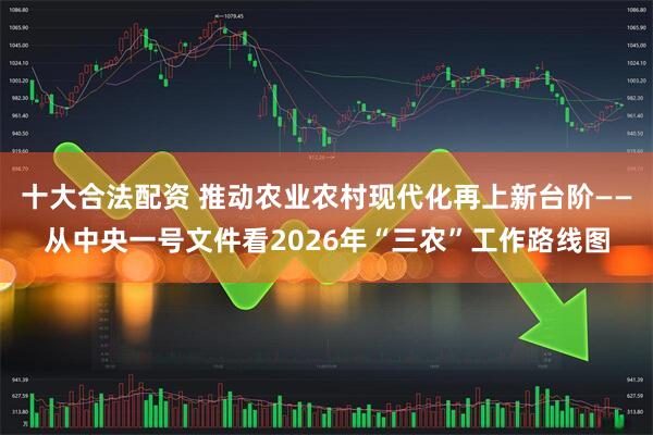 十大合法配资 推动农业农村现代化再上新台阶——从中央一号文件看2026年“三农”工作路线图