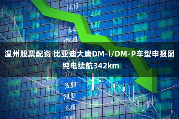温州股票配资 比亚迪大唐DM-i/DM-P车型申报图 纯电续航342km